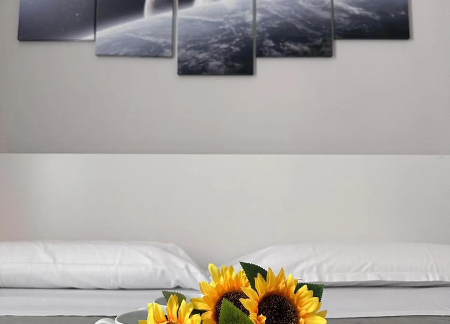 Soft Rooms Guest House Affittacamere Roma Centro
